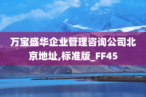 万宝盛华企业管理咨询公司北京地址,标准版_FF45