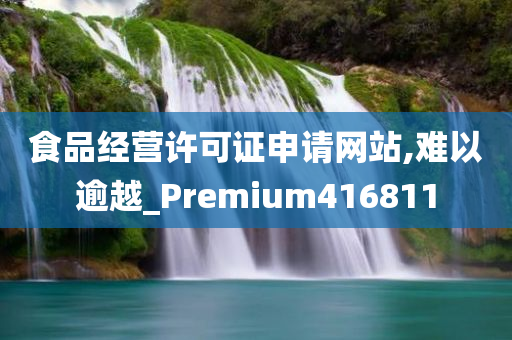 食品经营许可证申请网站,难以逾越_Premium416811