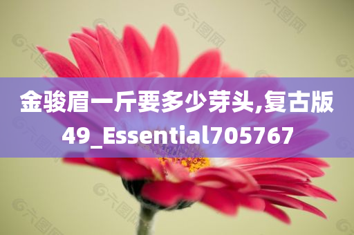 金骏眉一斤要多少芽头,复古版49_Essential705767