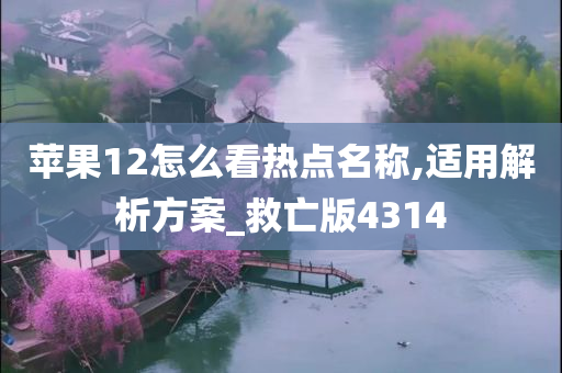 苹果12怎么看热点名称,适用解析方案_救亡版4314